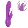 Vibrador California Dreaming Valley Vamp Calexotics | Estimulación Dual con Estilo y Potencia
